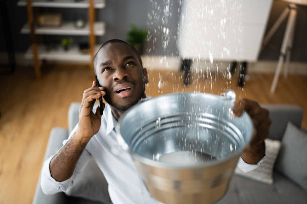Best Flood damage cleanup  in St Bonifacius, MN