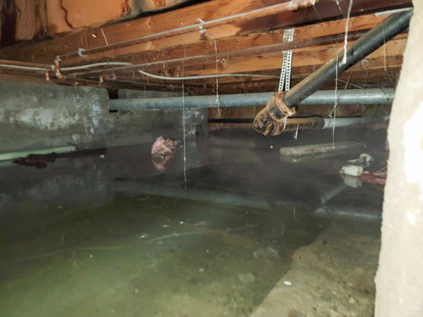 Best Emergency water damage restoration  in St Bonifacius, MN