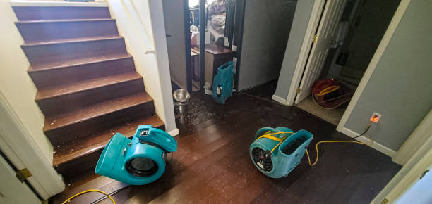 Best Local water damage restoration  in St Bonifacius, MN