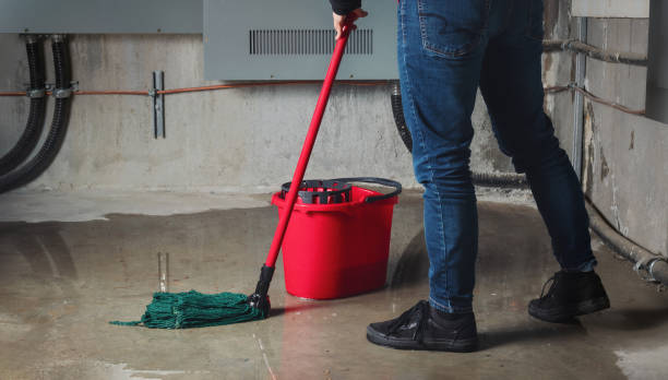  St Bonifacius, MN Water damage restoration Pros