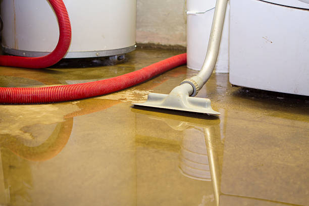 Best Basement water damage restoration  in St Bonifacius, MN