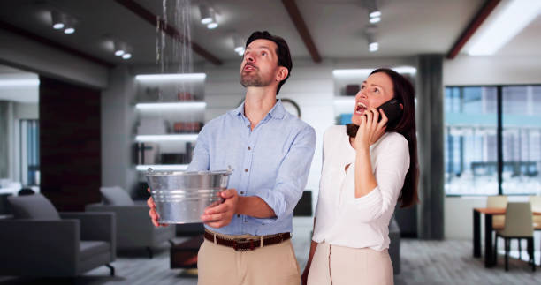 Best Commercial water damage restoration  in St Bonifacius, MN