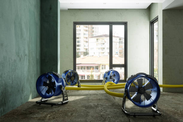 Best Water damage cleanup near me  in St Bonifacius, MN