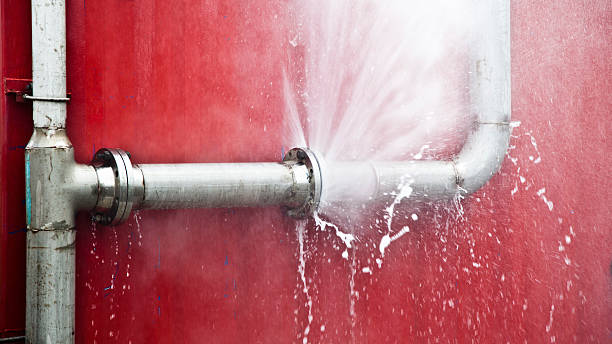 Best Fire Damage Restoration  in St Bonifacius, MN